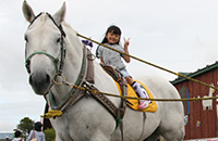 ばん馬引き馬